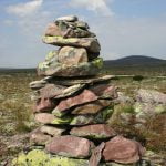 Natuur werkt: koers bepalen met coaching