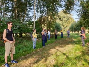 wandelcoaching