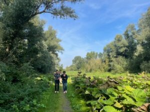 vakantie-ideeën vasthouden, hoe doe je dat?